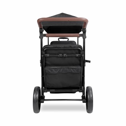Push & Pull Collapsible Wagon Stroller for 2 Kids with 5-Point Harnesses & Removable Sun Canopy