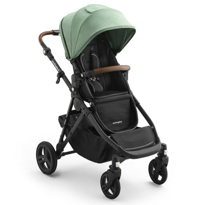 Single-to-Double Convertible Stroller 3.0