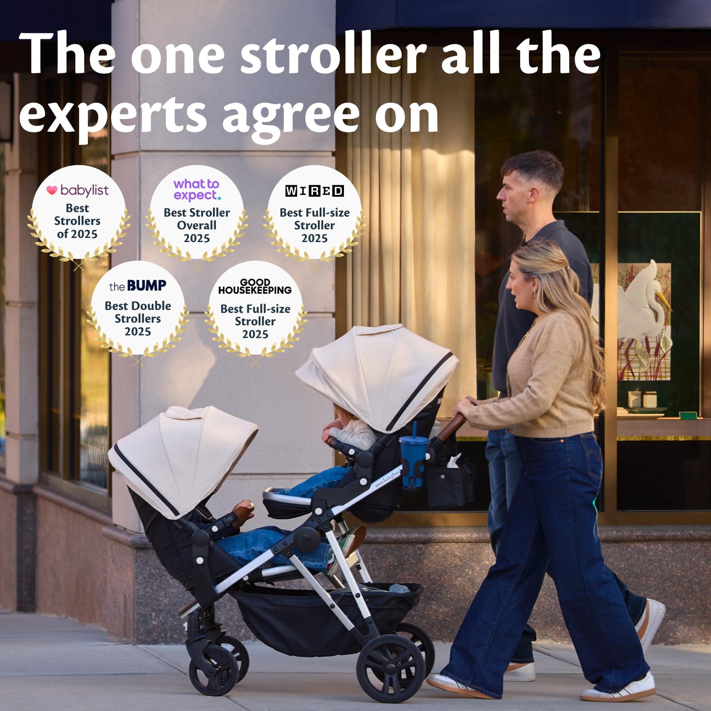 Single-to-Double Convertible Stroller 3.0
